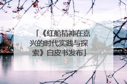 《红船精神在嘉兴的时代实践与探索》白皮书发布