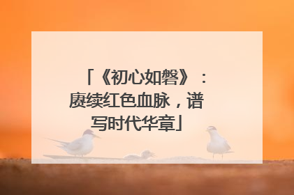 《初心如磐》：赓续红色血脉，谱写时代华章
