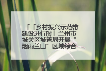 「乡村振兴示范带建设进行时」兰州市城关区城管局开展“烟雨兰山”区域综合整治专项行动