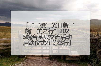 “‘徽’光日新‘皖’美之行”2025皖台基层交流活动启动仪式在芜举行