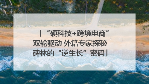 “硬科技+跨境电商”双轮驱动 外籍专家探秘碑林的“逆生长”密码