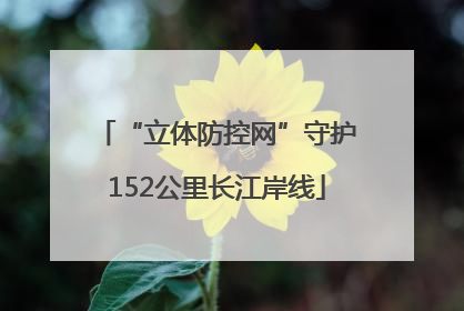 “立体防控网”守护152公里长江岸线