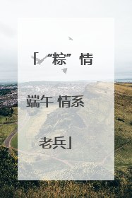 “粽”情端午 情系老兵