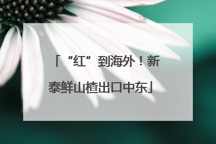 “红”到海外！新泰鲜山楂出口中东