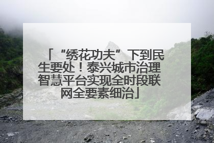 “绣花功夫”下到民生要处！泰兴城市治理智慧平台实现全时段联网全要素细治