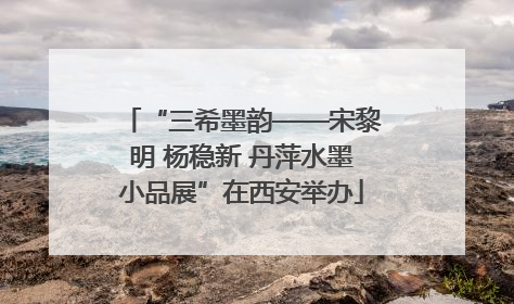 “三希墨韵——宋黎明 杨稳新 丹萍水墨小品展”在西安举办