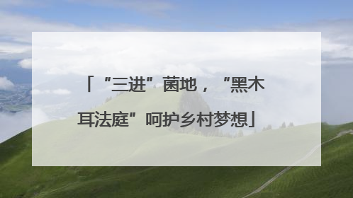 “三进”菌地,“黑木耳法庭”呵护乡村梦想