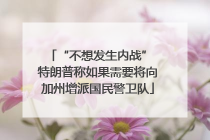 “不想发生内战” 特朗普称如果需要将向加州增派国民警卫队
