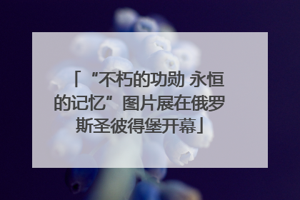 “不朽的功勋 永恒的记忆”图片展在俄罗斯圣彼得堡开幕