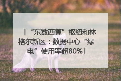 “东数西算”枢纽和林格尔新区：数据中心“绿电”使用率超80%