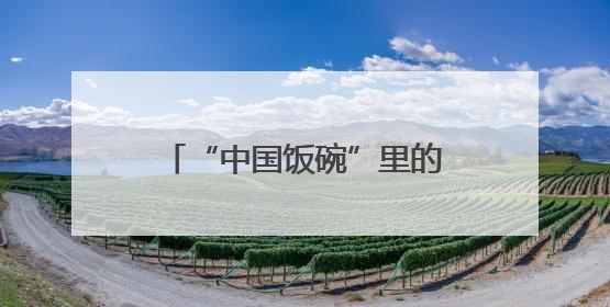“中国饭碗”里的农机力量——“打赢这一战 底气从何来”系列观察之三