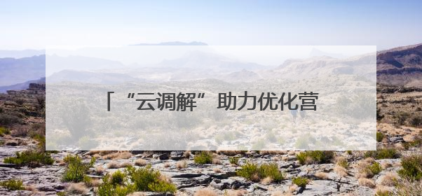 “云调解”助力优化营商环境，20天远程化解百万工程欠款纠纷
