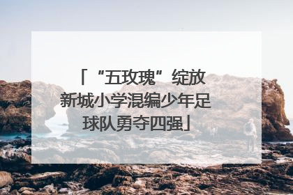 “五玫瑰”绽放 新城小学混编少年足球队勇夺四强