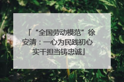 “全国劳动模范”徐安清：一心为民践初心 实干担当铸忠诚
