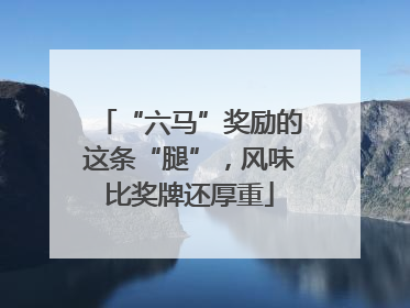 “六马”奖励的这条“腿”，风味比奖牌还厚重