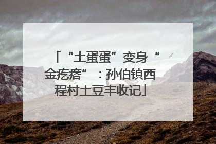 “土蛋蛋”变身“金疙瘩”：孙伯镇西程村土豆丰收记