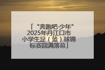 “奔跑吧·少年”2025年丹江口市小学生足（篮）球锦标赛圆满落幕