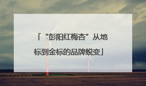 “彭阳红梅杏”从地标到金标的品牌蜕变