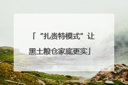 “扎赉特模式”让黑土粮仓家底更实