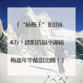 “杨梅王”拍出6.6万！建阳首届小湖杨梅嘉年华酸甜出圈！
