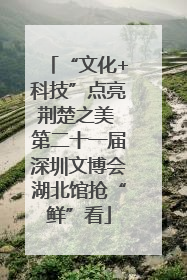“文化+科技”点亮荆楚之美 第二十一届深圳文博会湖北馆抢“鲜”看