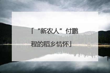 “新农人”付鹏程的稻乡情怀