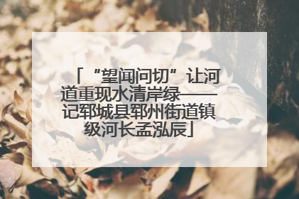 “望闻问切”让河道重现水清岸绿——记郓城县郓州街道镇级河长孟泓辰