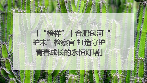 “榜样”｜合肥包河“护未”检察官 打造守护青春成长的永恒灯塔