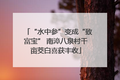 “水中参”变成“致富宝” 南漳八泉村千亩茭白喜获丰收