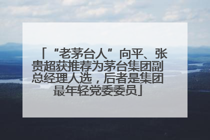 “老茅台人”向平、张贵超获推荐为茅台集团副总经理人选，后者是集团最年轻党委委员