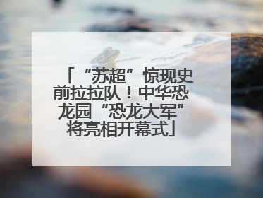 “苏超”惊现史前拉拉队！中华恐龙园“恐龙大军”将亮相开幕式