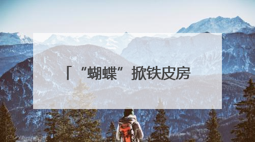 “蝴蝶”掀铁皮房顶吹倒大树 海南消防部门紧急排险