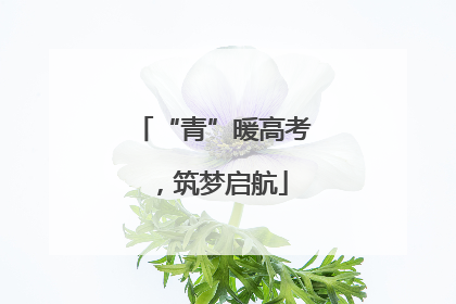 “青”暖高考，筑梦启航