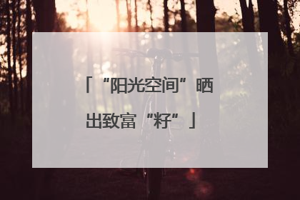 “阳光空间”晒出致富“籽”