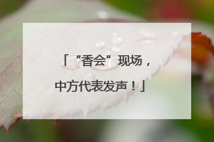 “香会”现场，中方代表发声！