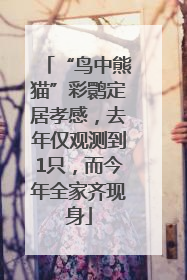 “鸟中熊猫”彩鹮定居孝感，去年仅观测到1只，而今年全家齐现身