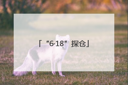 “6·18”探仓