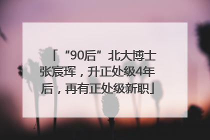 “90后”北大博士张宸珲，升正处级4年后，再有正处级新职