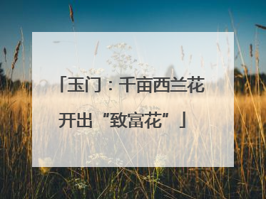 玉门：千亩西兰花开出“致富花”