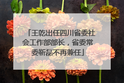 王乾出任四川省委社会工作部部长，省委常委靳磊不再兼任