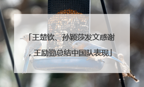 王楚钦、孙颖莎发文感谢，王励勤总结中国队表现
