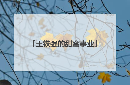 王铁强的甜蜜事业