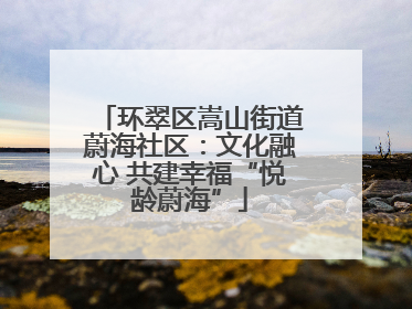 环翠区嵩山街道蔚海社区：文化融心 共建幸福“悦龄蔚海”