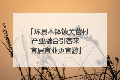环县木钵镇关营村 产业融合引客来 宜居宜业更宜游