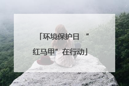 环境保护日 “红马甲”在行动