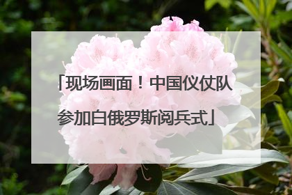 现场画面！中国仪仗队参加白俄罗斯阅兵式