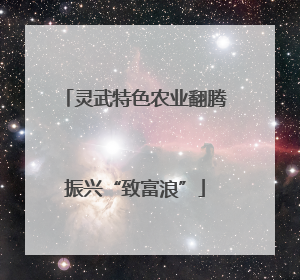 灵武特色农业翻腾振兴“致富浪”