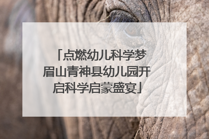 点燃幼儿科学梦 眉山青神县幼儿园开启科学启蒙盛宴