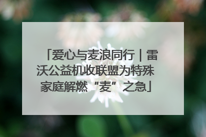 爱心与麦浪同行｜雷沃公益机收联盟为特殊家庭解燃“麦”之急