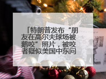 特朗普发布“朋友在高尔夫球场被鹅咬”照片，被咬者疑似美国中东问题特使